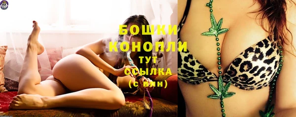 винт Анива